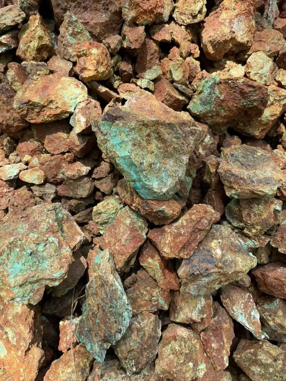 IMG-20251003-WA0064 IMG-20251003-WA0064