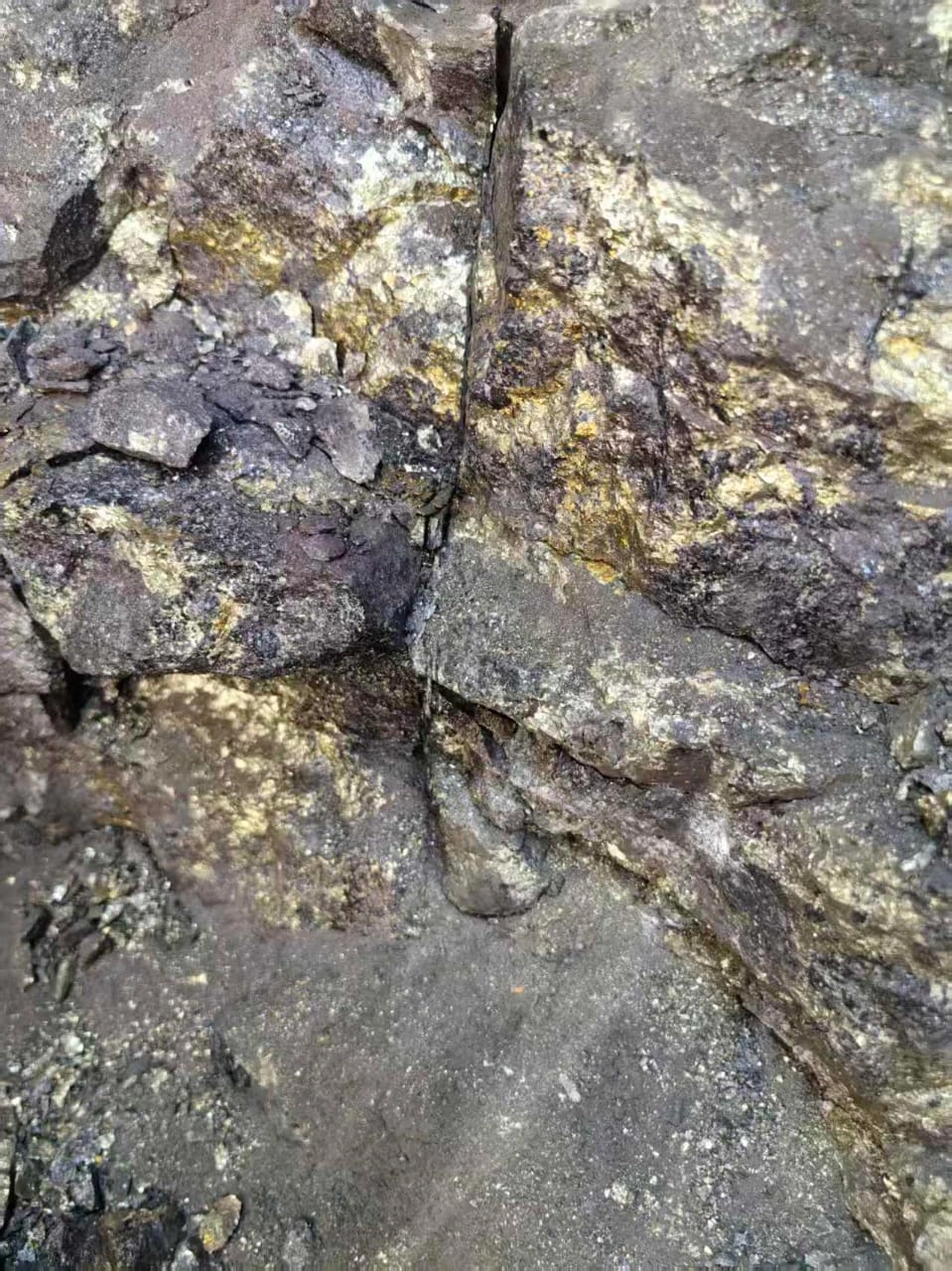 IMG-20251003-WA0065 IMG-20251003-WA0065